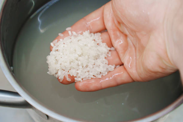  올바른 쌀 씻는법, 밥맛을 살리는 6가지 비결