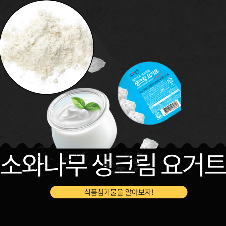  코스트코 16컵 9,900원 [동원F&B 생크림요거트] 식품첨가물 영양성분