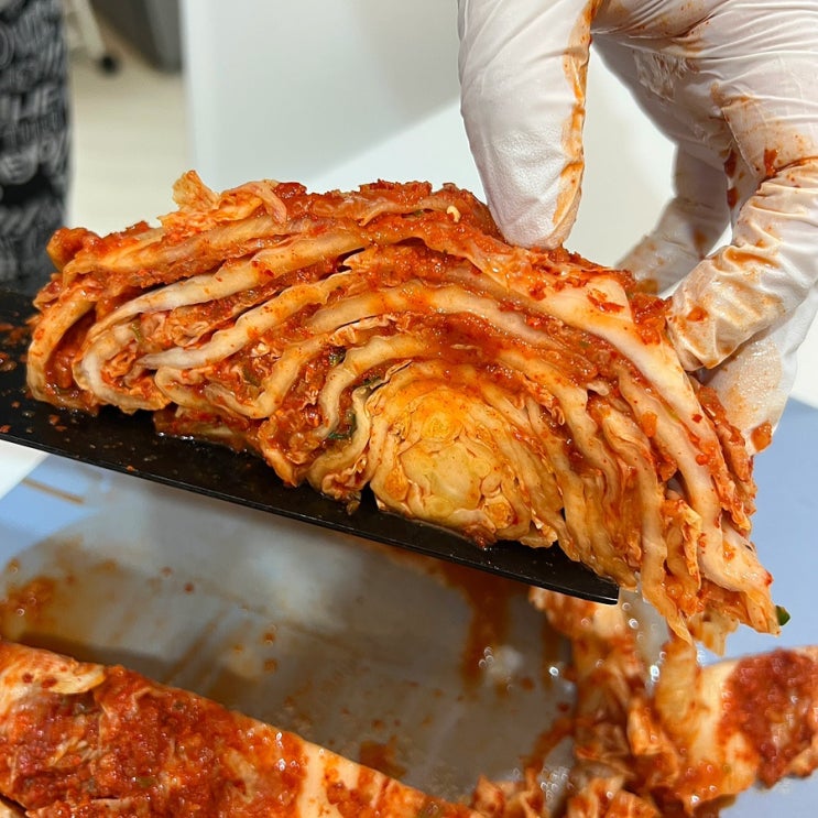 맛있는 배추김치 추천 국내산 내가 찾던 맛! 전라도 옥돌김치