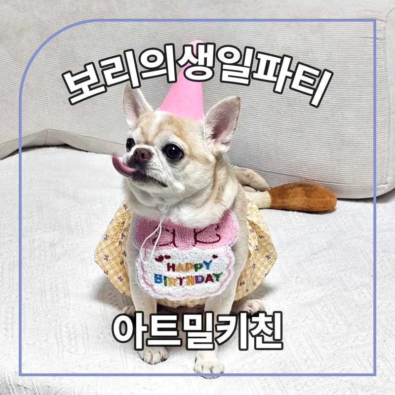 사진 7