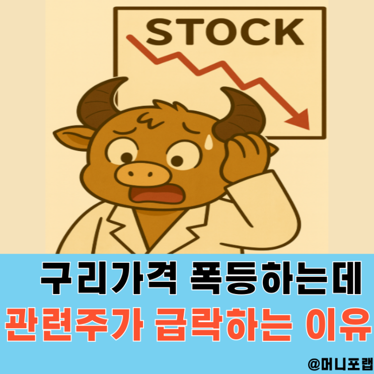  구리관련 대장주 프리포트 맥모란 주식, 구리 가격 폭등에도 급락하는 이유