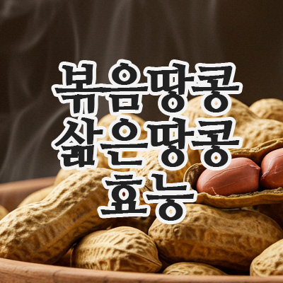  땅콩효능, 볶음·삶은·구운 땅콩효능 이렇게 챙기세요