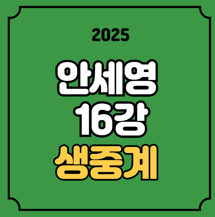 <b>안세영 코리아오픈</b> 중계 2025년 09월 25일 경기일정 BWF <b>16강</b>... 