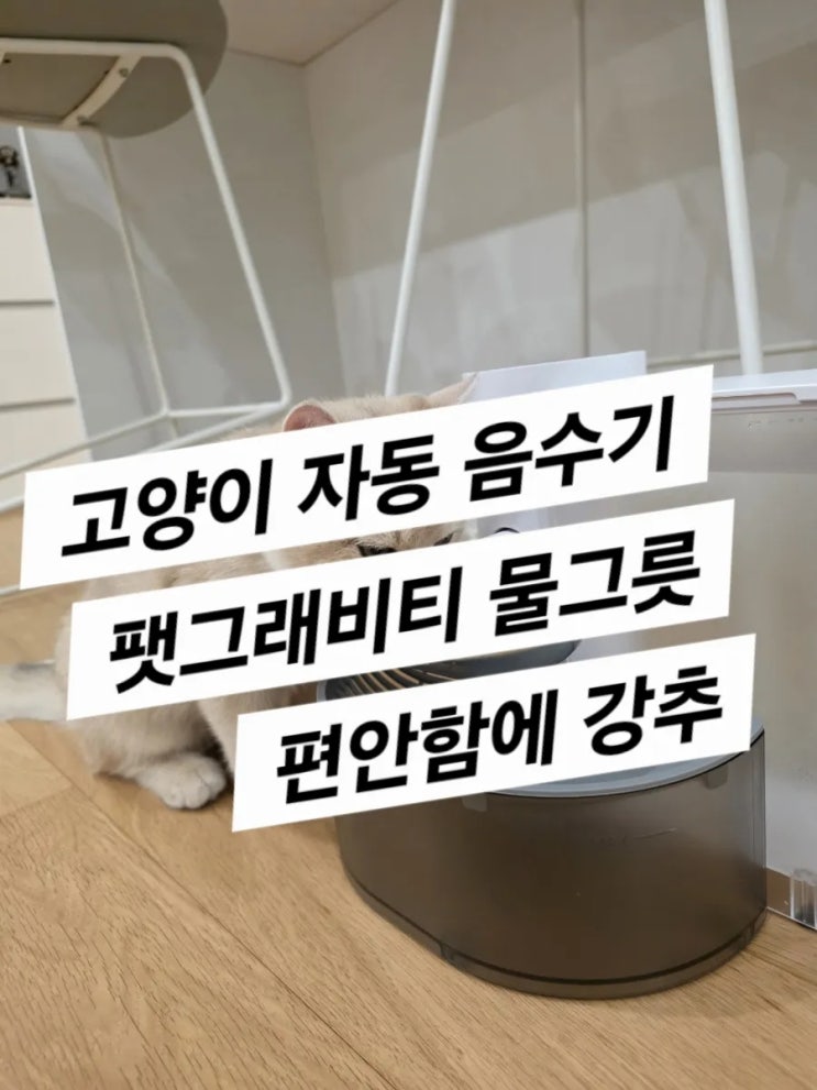  팻그래비티 고양이 물그릇 어떤걸로 해야할까 (고양이 집사의 추천)