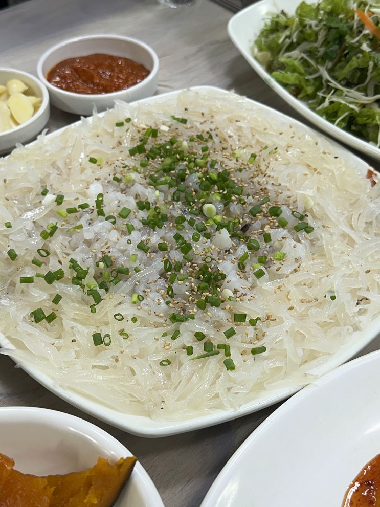   [통영 물만난산오징어와해물] 통영 토박이가 오징어회 땡길 때 가는 곳