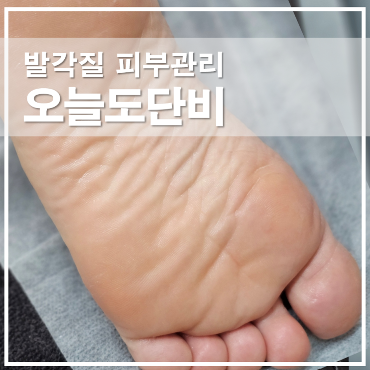  파주 금릉 오늘도단비 실크플래닝 발각질 피부관리 후기