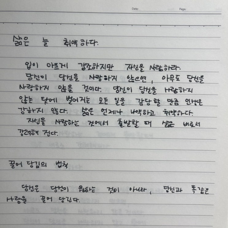  삶은 늘 취약하다. 나의 보살핌이 필요하다