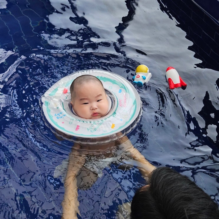  경주 보문단지 애견 동반 가능한 독채 펜션 '라파밀리아 풀빌라'