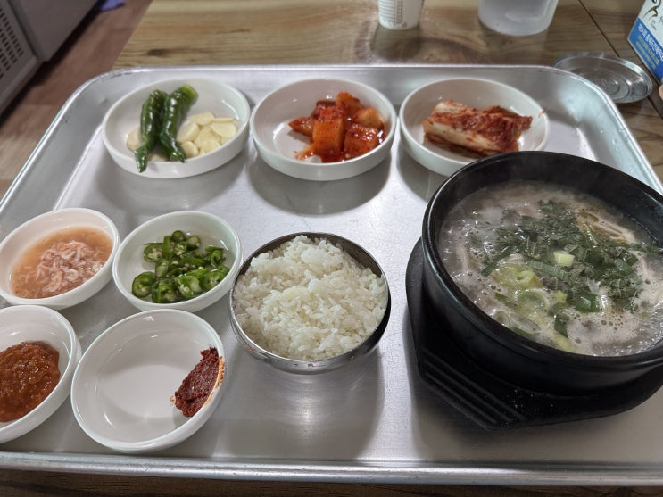  제천 순댓국 제천시 봉양읍 순대 국밥 맛집 웅지순대국