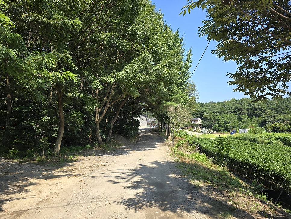 기관산 사진 2