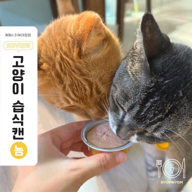  고양이 습식 캔사료 닥터할리 | 저염 치즈+닭고기 조합, 눈·심장 건강까지 챙긴다