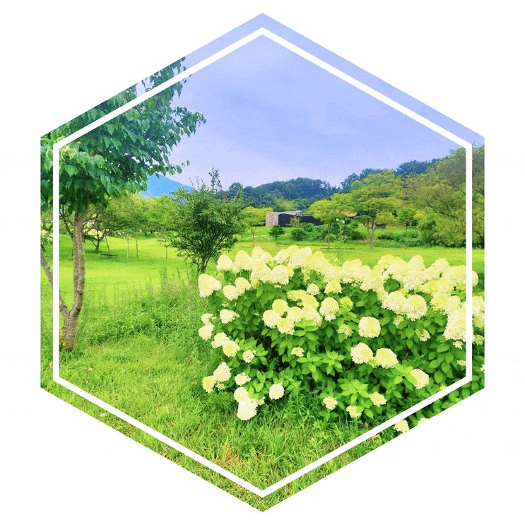 <b>오늘의 운세</b> <b>백운산</b>과 함께하는 일상의 변화와 기대
