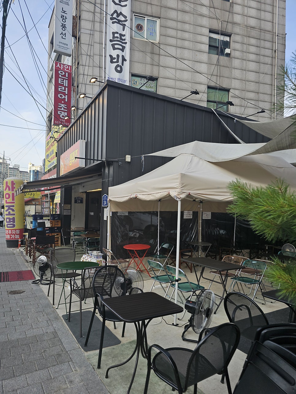 먹태생맥주 사진 1