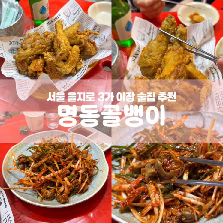  서울 을지로3가 야장 술집 명동골뱅이 노가리골목 맛집