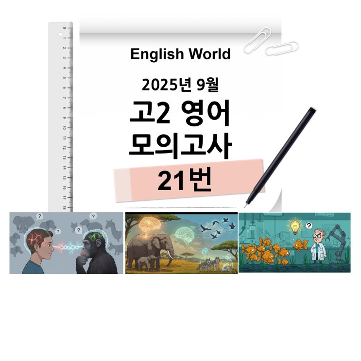  25년 9월 고2 영어 모의고사 21번 분석 변형 문제 거울 뉴런 연구