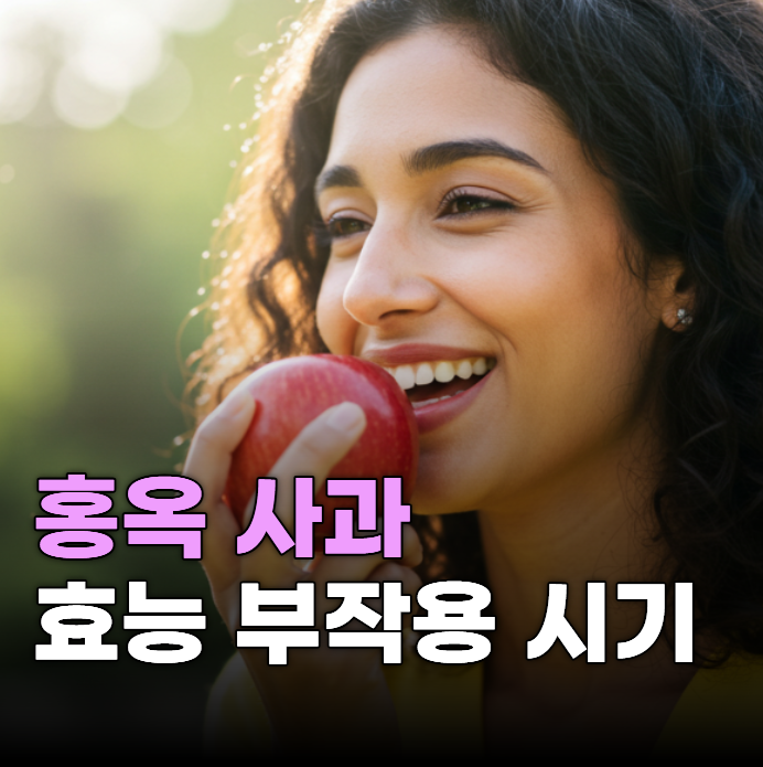 홍옥 사과 시기 효능 홍로 차이 부작용