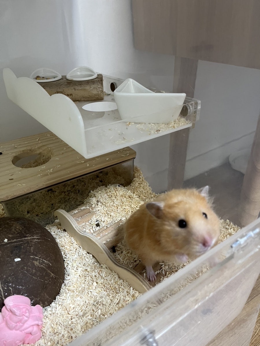 우봉가 사진 2