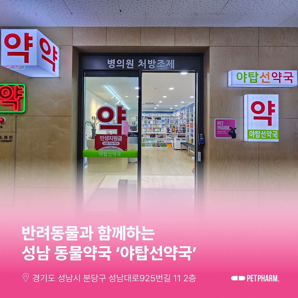 선약국 사진 1