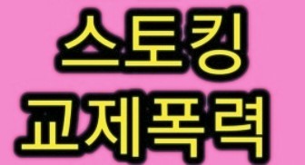  ️ 정부 스토킹·교제 폭력 피해자 보호 혁신적 대책 총정리-피해자 보호명령제 도입!