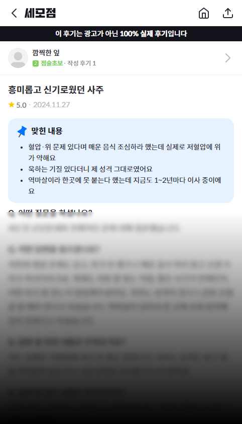 티앤스토리 사진 5
