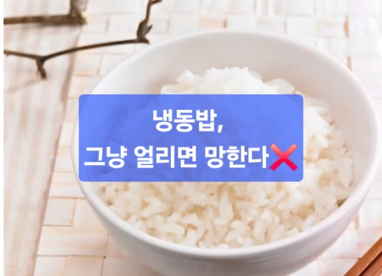  냉동밥, 그냥 얼리면 망한다  맛 유지하는 5가지 꿀팁 공개 