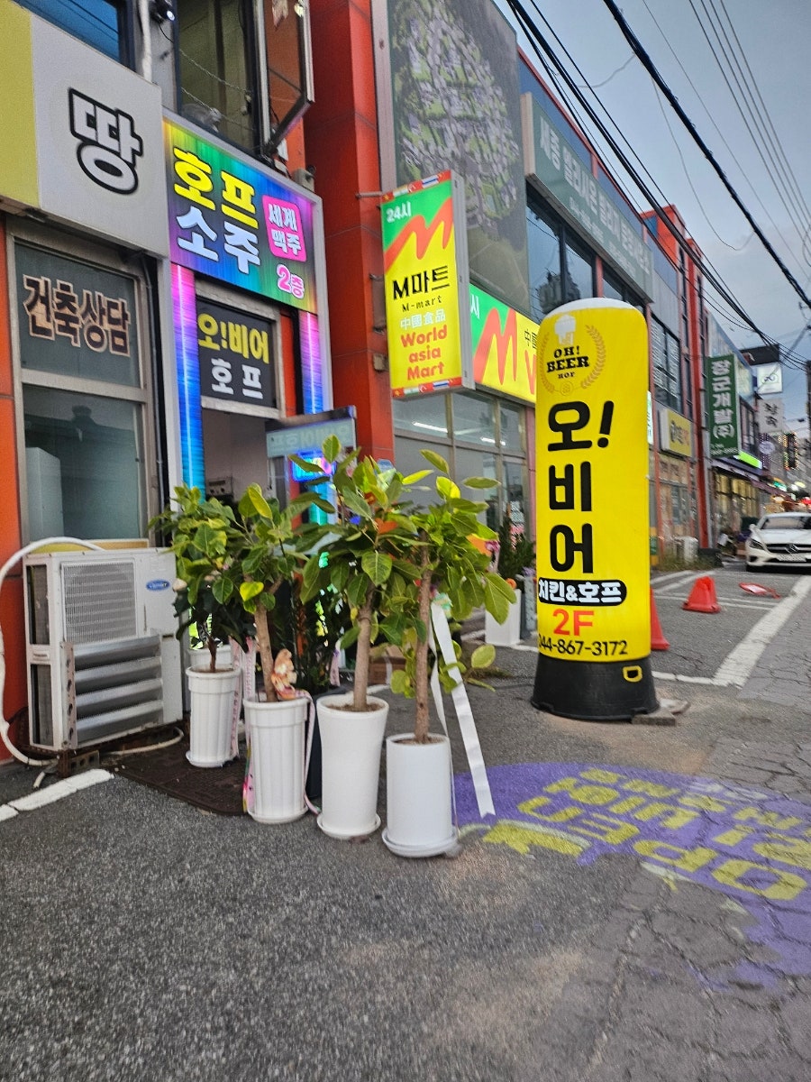 오비어치킨호프 사진 3