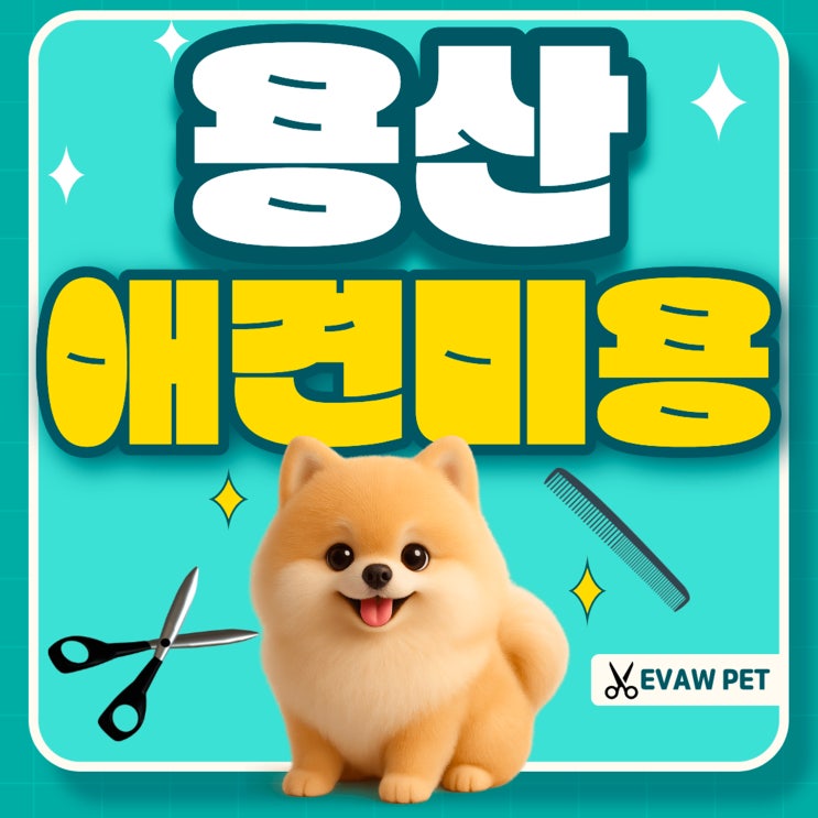  용산애견미용학원 자격증, 실습, 취업까지 한 번에 준비하는 곳