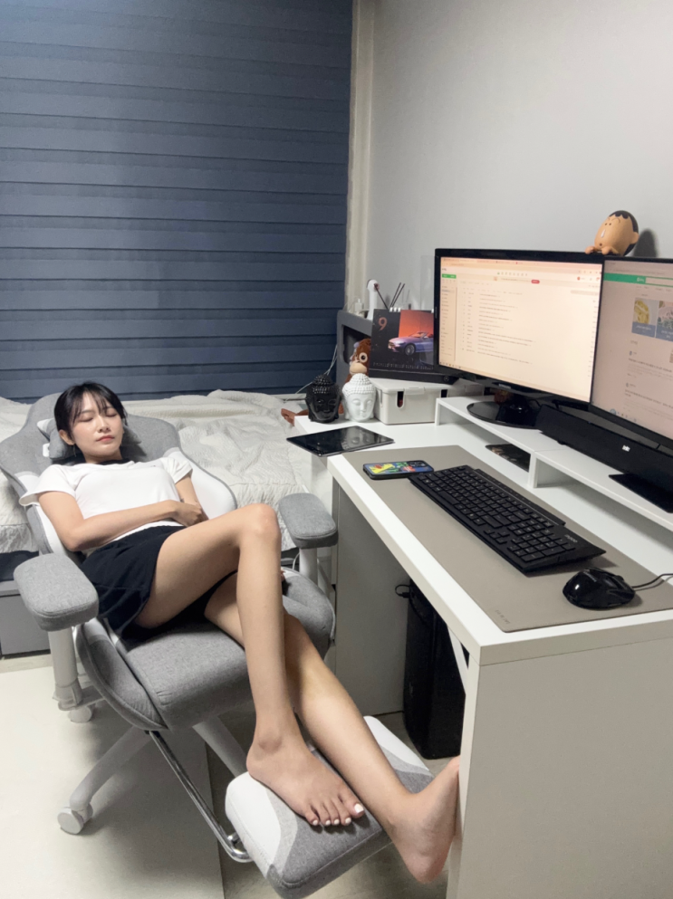  가죽 vs 패브릭 의자 | 제닉스 리브체어 패브릭 선택 이유