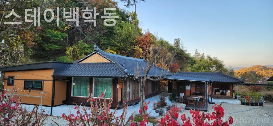스테이백학동 사진 1