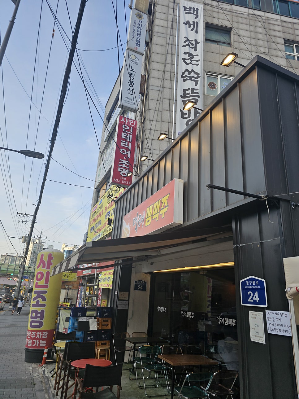 먹태생맥주 사진 2