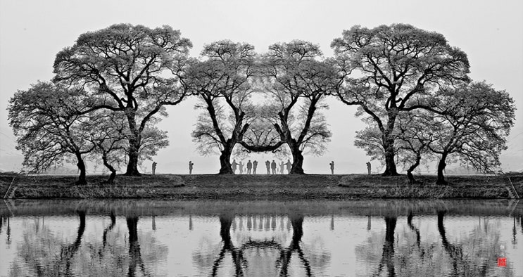  경산 반곡지의 고요한 자연을 담아 흑백 사진