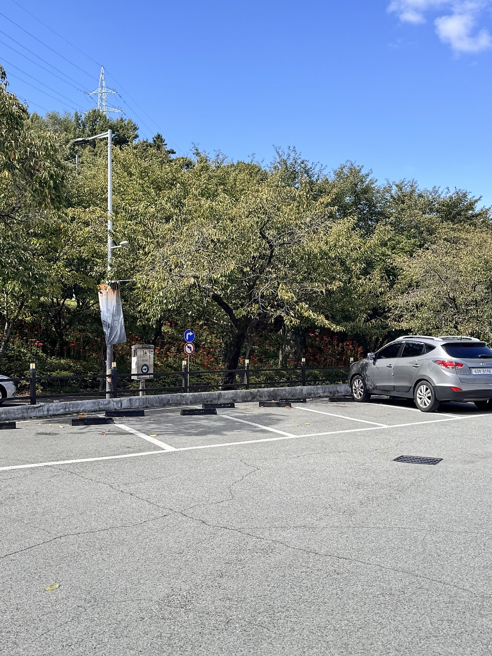 양정화네앞산온천골 사진 5