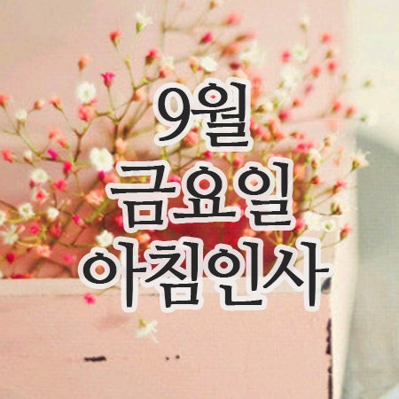  9월 인사말, 26일 금요일 아침인사 이미지