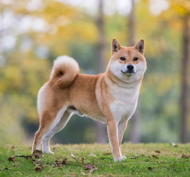 사진 3
