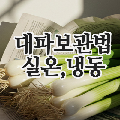  대파보관법 실온부터 냉동까지, 대파오래보관법 완전 정리