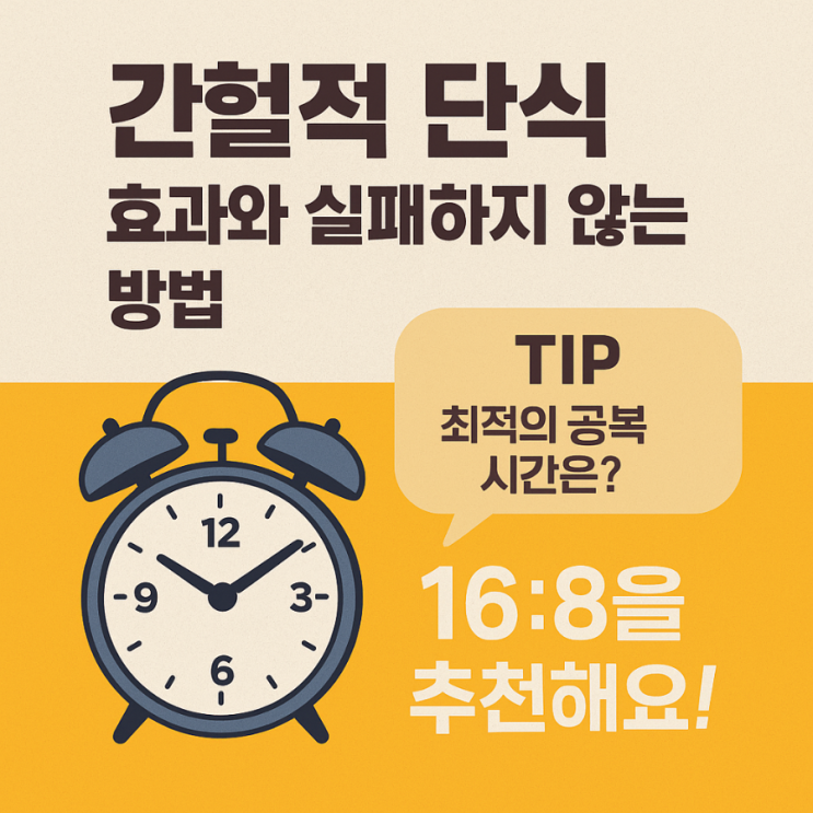  간헐적 단식 효과와 실패하지 않는 방법 진짜 똑똑하게 실천하는 비밀