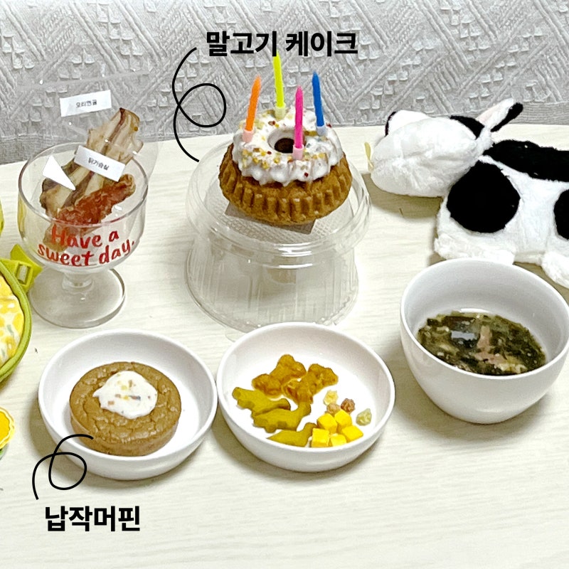사진 8