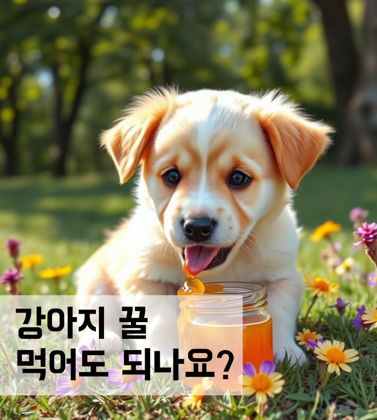  강아지 꿀 먹어도 되나요?