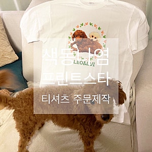 제품 리뷰 프린트스타 17수 반팔티셔츠 주문제작