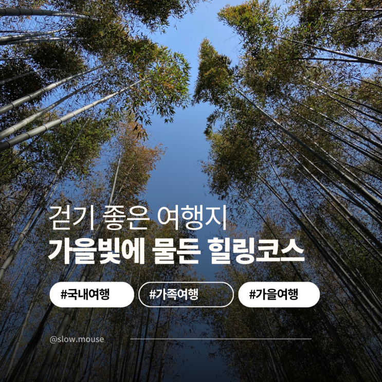  이렇게 알찼다고? 까칠한 가족도 만족한 담양여행 루트