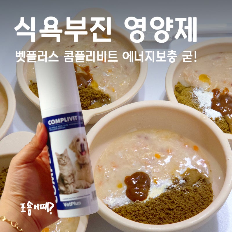 벳플러스 콤플리비트, 강아지 식욕부진과 에너지보충을 위한 종합영양제 후기