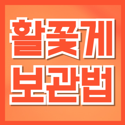  활꽃게 보관법 완벽정리｜신선도 유지부터 냉동 해동까지 꼭 알아야 할 꿀팁