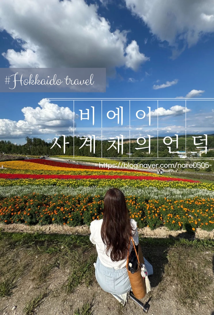  홋카이도 비에이 필수 관광코스 사계채의 언덕 四季彩の丘