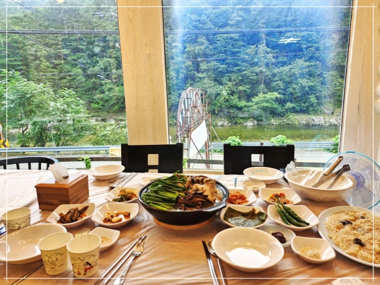  양양현지인맛집 거목정 능이한방백숙 자연의 맛!