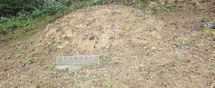  울주군 두동면 천전리 산214 봉분1기 벌초제초대행("울산벌초대행")