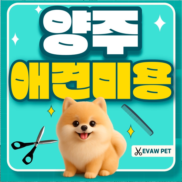  양주애견미용학원 국비보다 저렴하게 자격증 취득하기