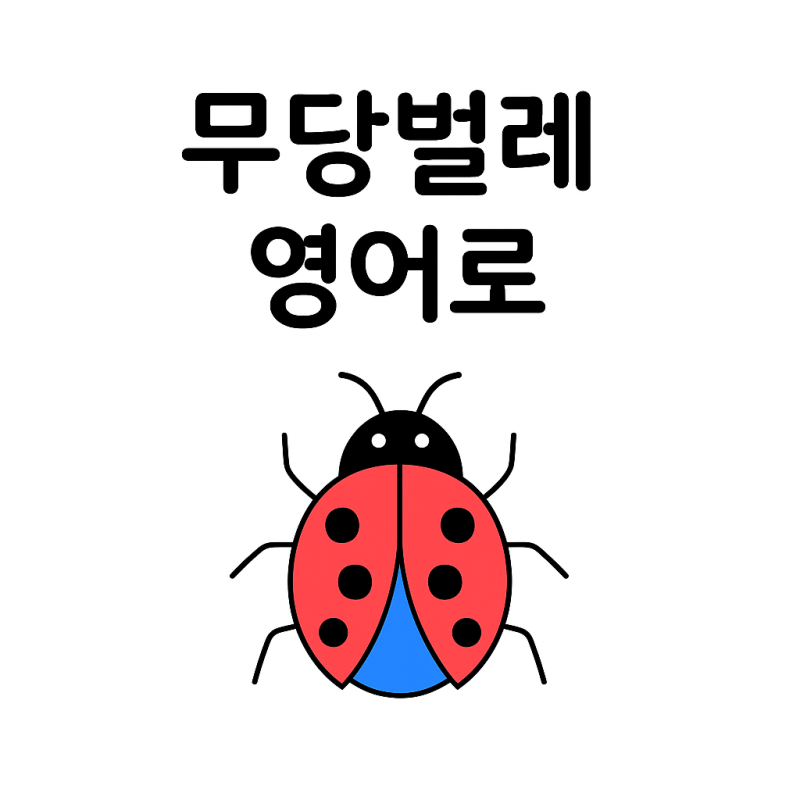 무당벌레 영어로는? 어원까지 총정리