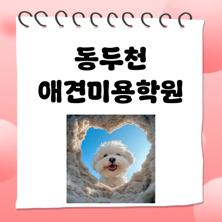  동두천애견미용학원,100%반려견수업으로 배우는 실전 노하우