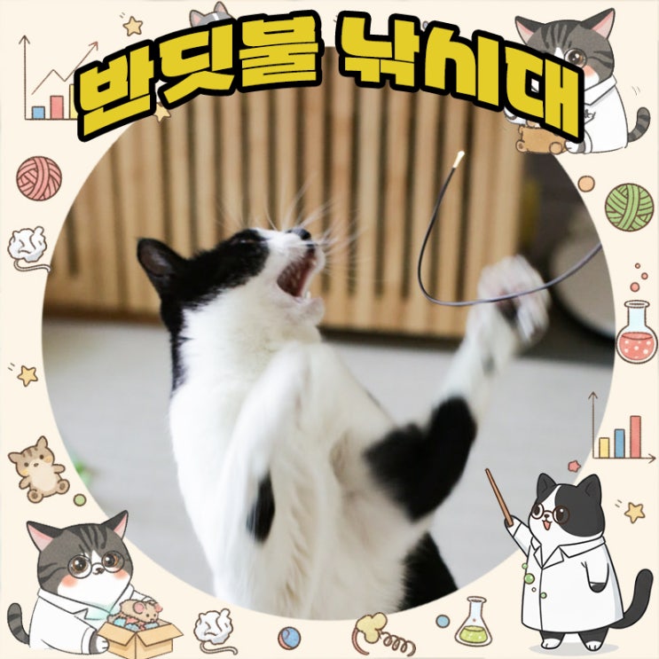  발광하는 고양이 장난감 배코코 반딧불 낚시대