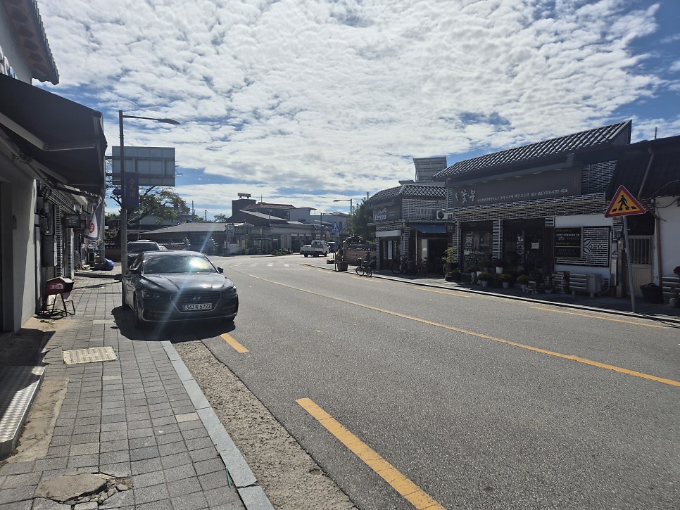 용궁다원 사진 3